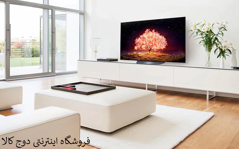 تلویزیون ال جی 65B1 سایز 65 اینچ- قیمت تلویزیون ال جی 65B1 سایز 65 اینچ